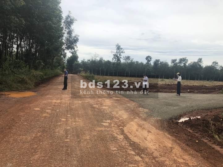 Bán đất nền thổ cư sổ sẵn, vị trí đẹp, pháp lý rõ ràng, giá bán 650 triệu, lh 0773104954