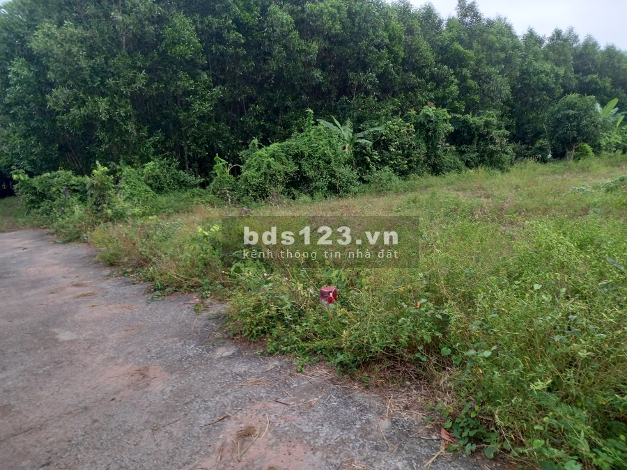 Bán đất Phạm Văn Hưng cách tỉnh lộ 52 rộng 5m xe vào tận nơi, khu công nghiệp đông đúc