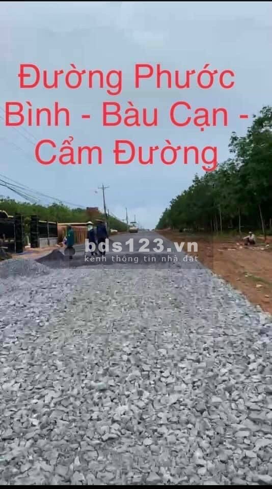 Còn lô duy nhất đầu ấp 1 cách đường chính Phước Bình 300m, cách QL 51 2KM, vị trí đầy tiềm năng, SHR