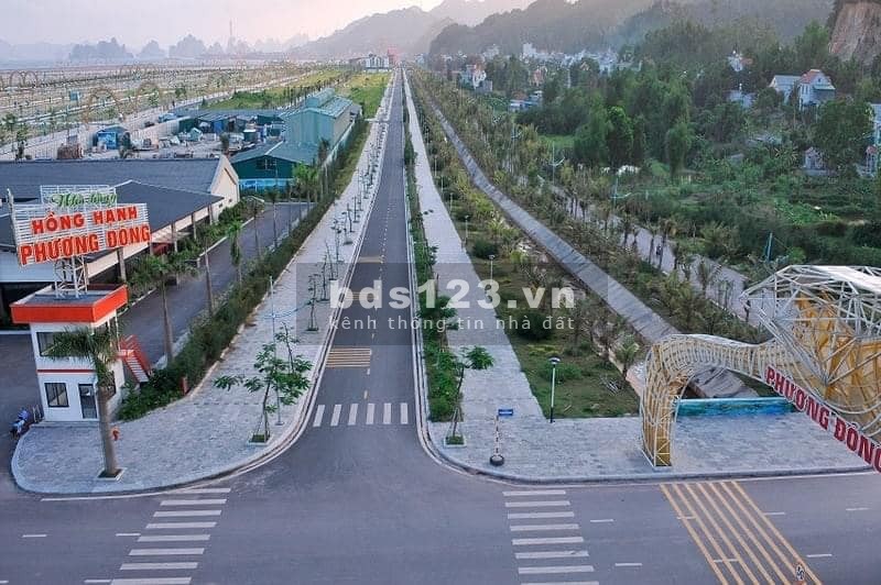 Ra mắt đất biệt thự diện tích 300m2 tại Phương Đông Vân Đồn. BT16 và BT21 khu dân cư