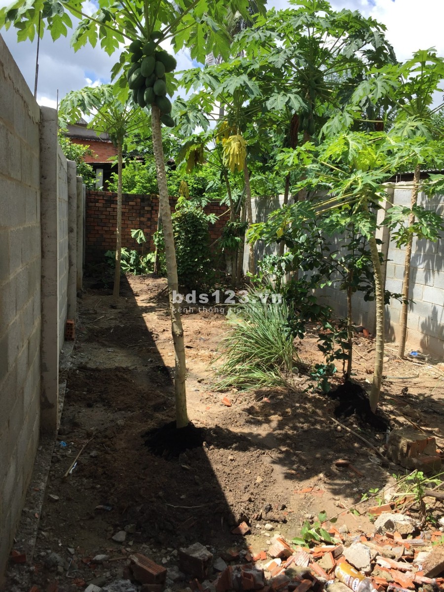 Cho thuê nhà mặt tiền tiện ở hoặc kinh doanh liên hệ chính chủ 0989988763, khu dân cư đông đúc