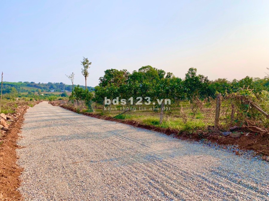Đất vườn biệt thự có thổ cư sẵn, giá 1.5 triệu/m2- 3.5 triệu/m2 vị trí đẹp, pháp lý an toàn