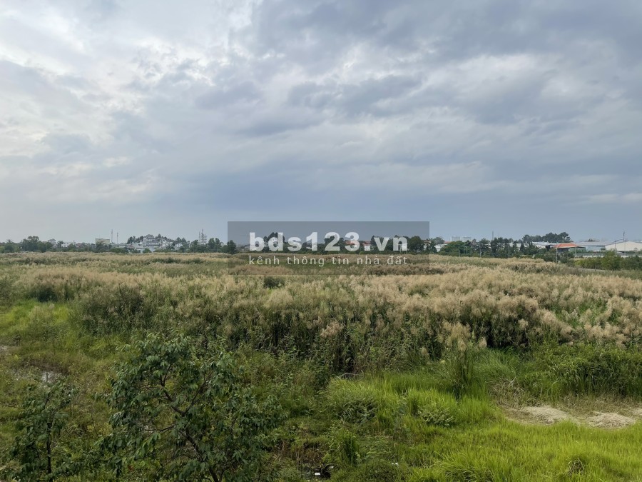 Cho thuê đất diện tích 4.600m2 Xa Lộ Hà Nội, phường Tân Phú, Quận 9 giá tốt nhất thị trường