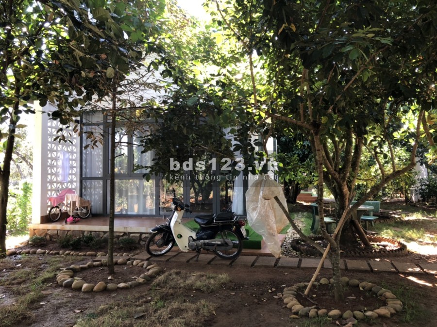 Bán đất GẤP+ 3 căn nhà đầy đủ nội thất giá RẺ lấy tiền làm ăn Long Khánh, Đồng Nai