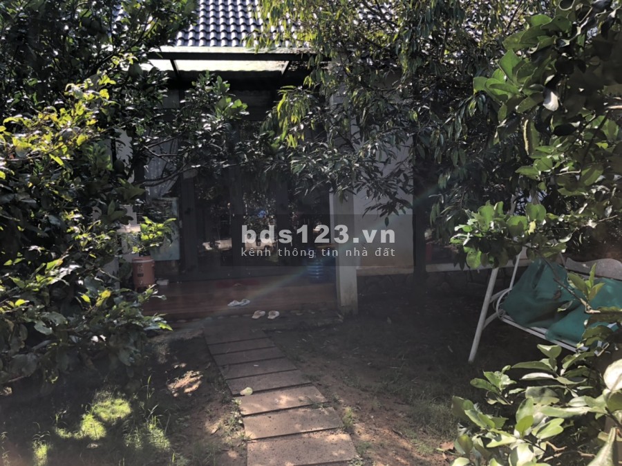 Bán đất GẤP+ 3 căn nhà đầy đủ nội thất giá RẺ lấy tiền làm ăn Long Khánh, Đồng Nai