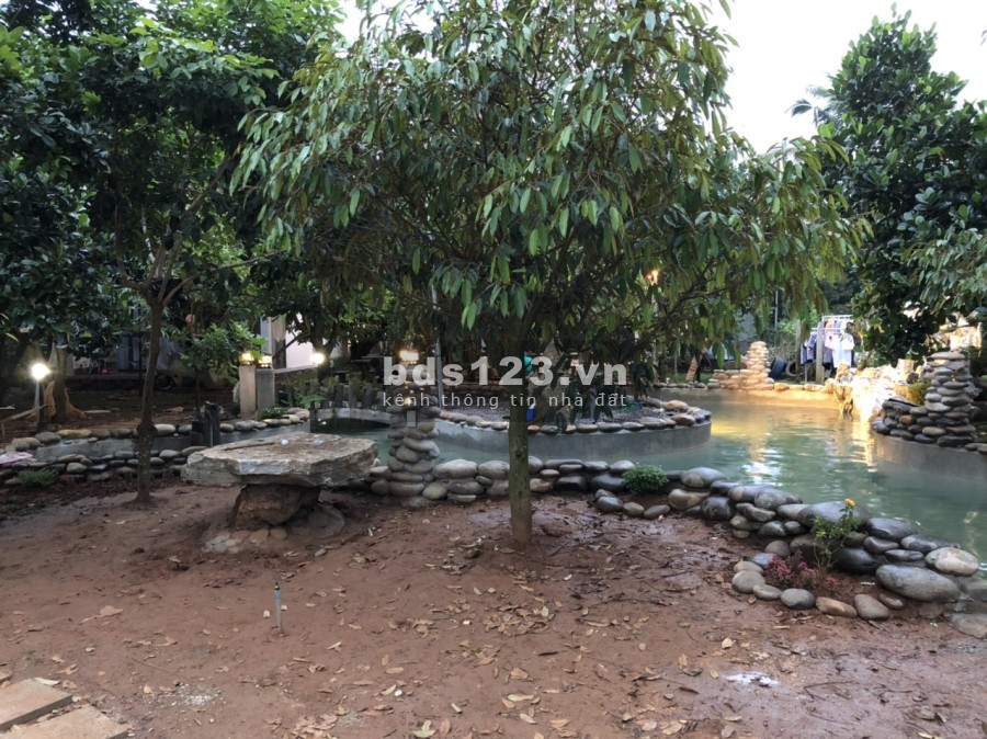 Bán đất GẤP+ 3 căn nhà đầy đủ nội thất giá RẺ lấy tiền làm ăn Long Khánh, Đồng Nai