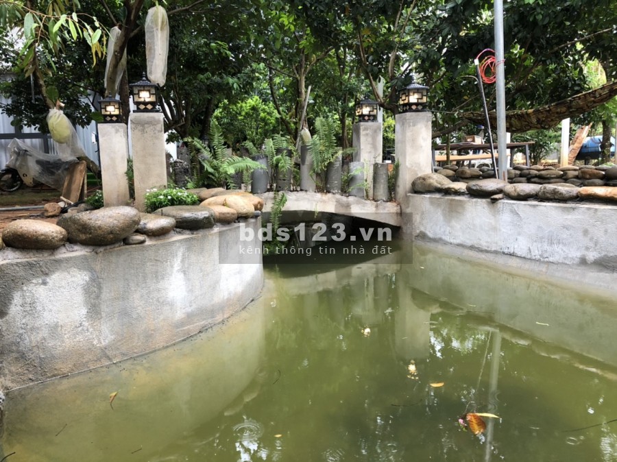 Bán đất GẤP+ 3 căn nhà đầy đủ nội thất giá RẺ lấy tiền làm ăn Long Khánh, Đồng Nai
