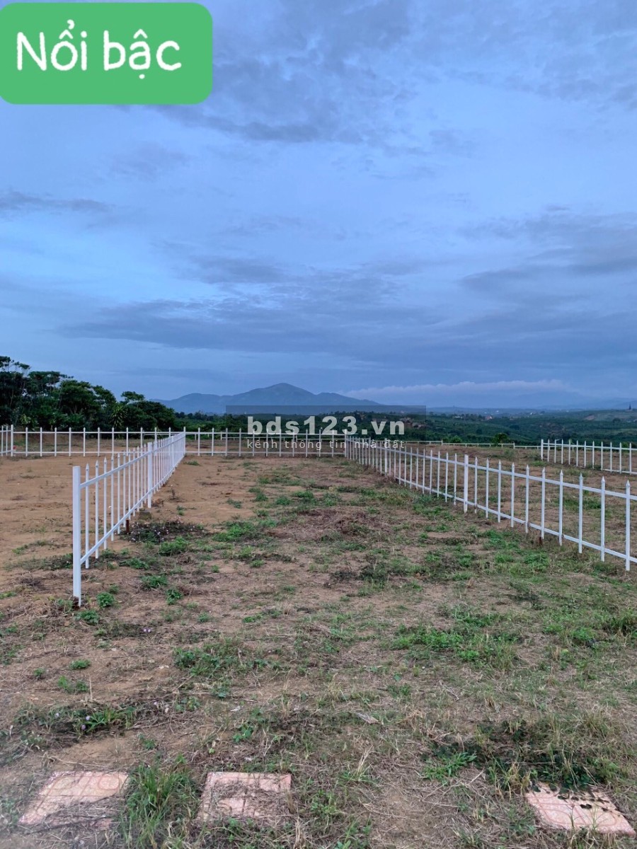Đất ngộp cần tìm chủ chỉ có 3.5 triệu/m2, công chứng ngay trong ngày, lấy ngay sỏ đỏ