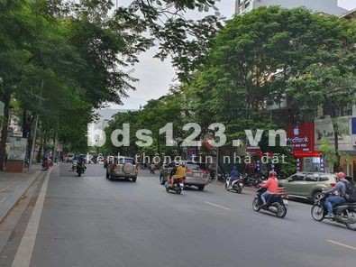 Mặt phố Thái Hà, cực hiếm, diện tích sử dụng 80m2, mặt tiền 5m, giá bán 48 tỷ, lô góc