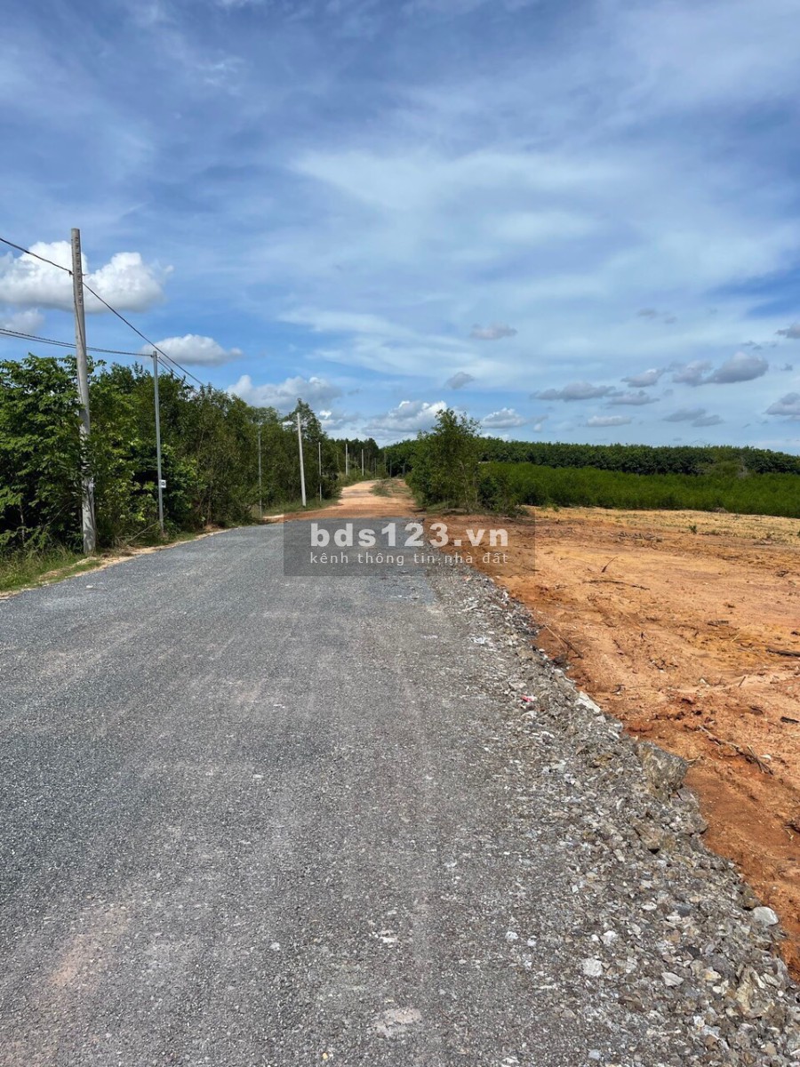 Bán đất sào ONT khu bàn cờ đối diện UBND Xã Phước Bình - Long Thành, LH: 0865570687 mR Nam
