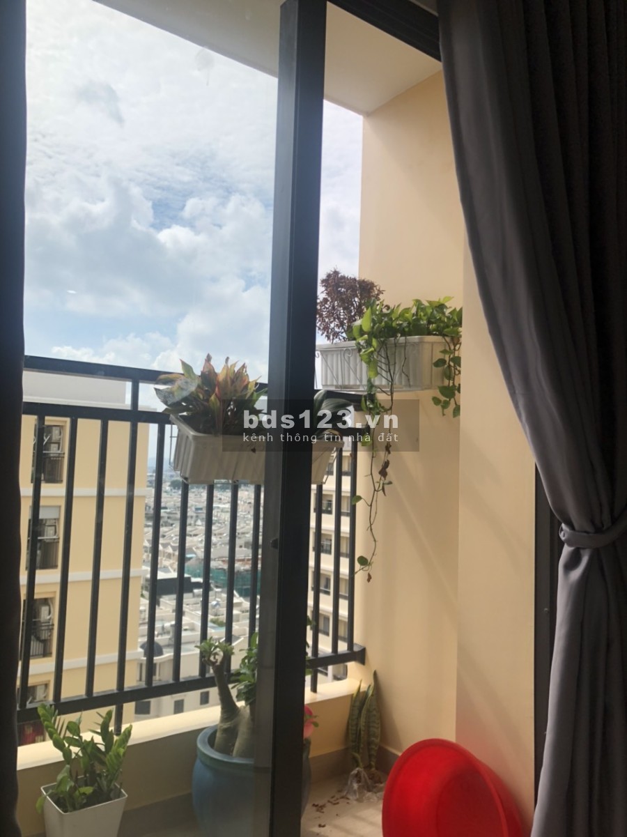 Cho thuê căn hộ Cityland nội thất cơ bản bếp rèm giá chỉ 10,5 tr