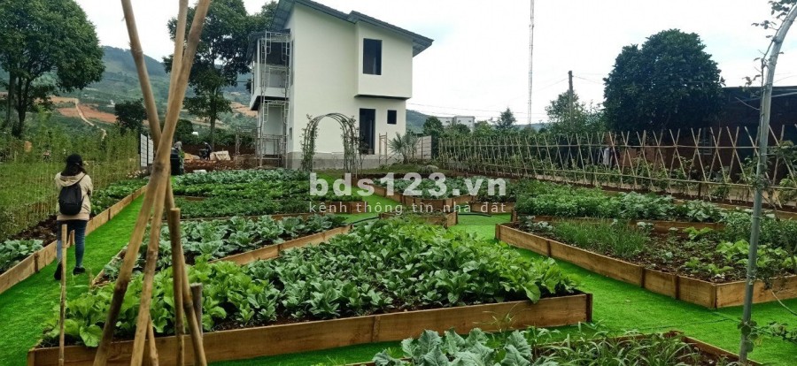 Bán đất biệt thự lưng đồi Eden Hill Lâm Hà Đà Lạt, liên hệ 0938991885 chiết khấu cao