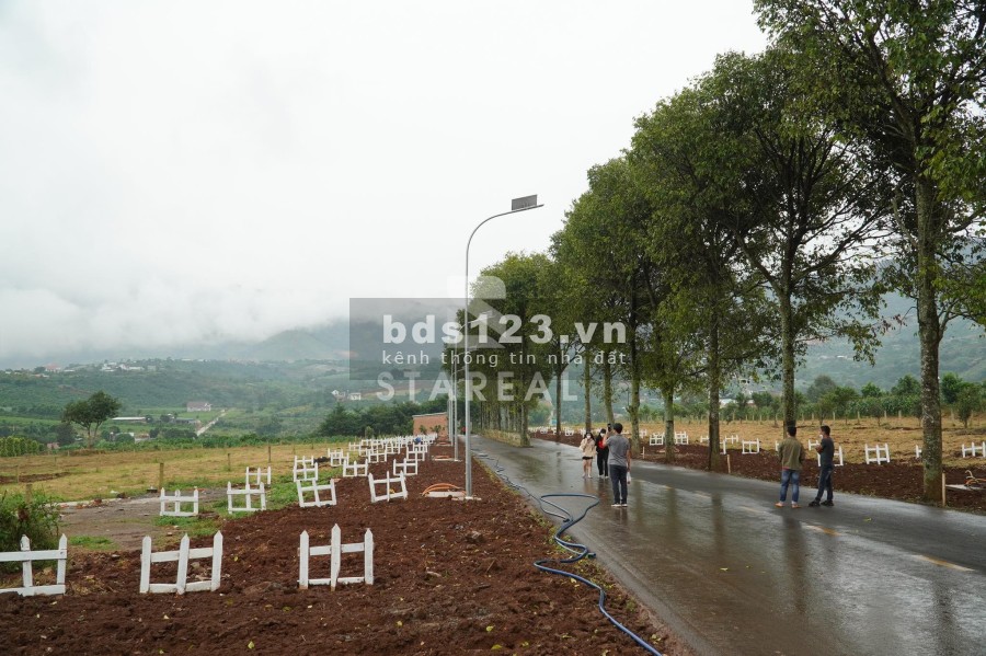 Đất nền biệt thự nghĩ dưỡng ngôi nhà bên lưng đồi Eden Hills, hạ tầng hoàn thiện, sổ sẵn
