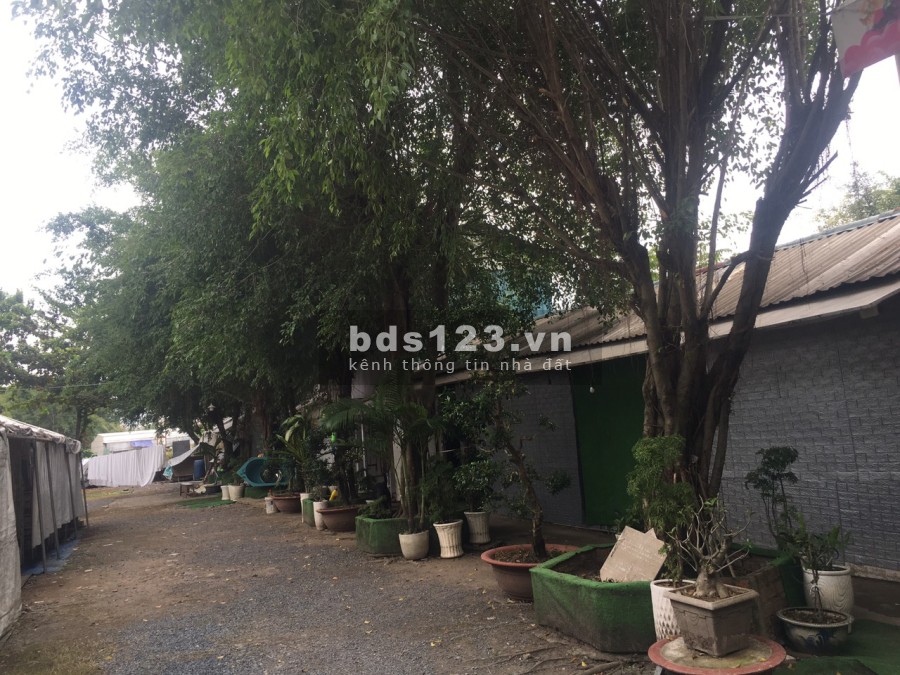 Cho thuê đất Hiệp Bình Chánh, Thủ Đức, diện tích sử dụng 1200m2 giá hỗ trợ mùa dịch