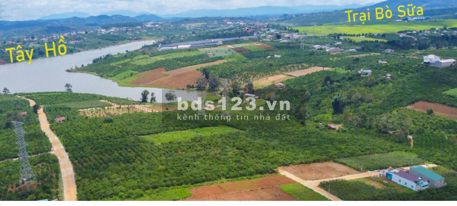 Đất nền view hồ xịn xò thị trần Di Linh Lâm Đồng, đường vào rộng, tiện ích đủ, pháp lý chuẩn
