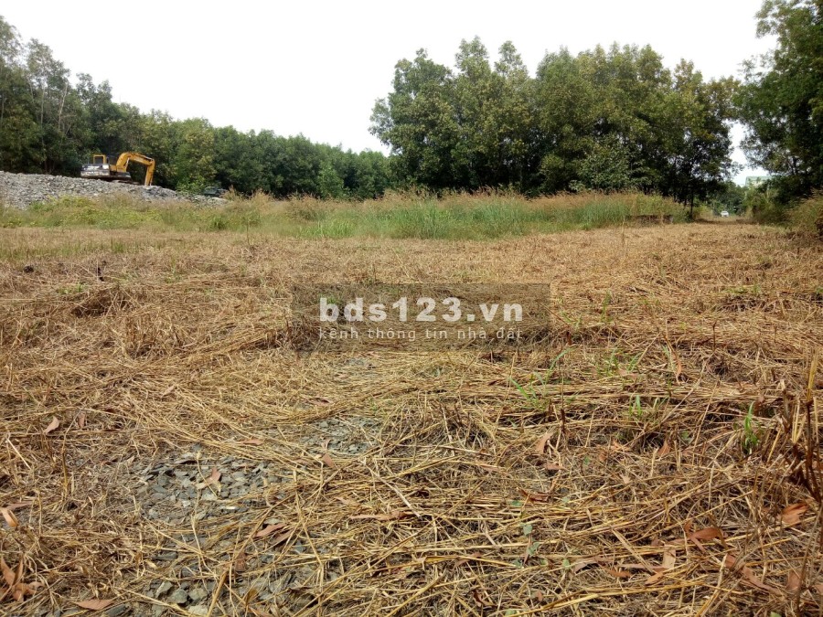 Bán đất gấp 510m2 ONT mặt tiền đường xã Bàu Cạn, thuộc xã Long Phước - Long Thành.