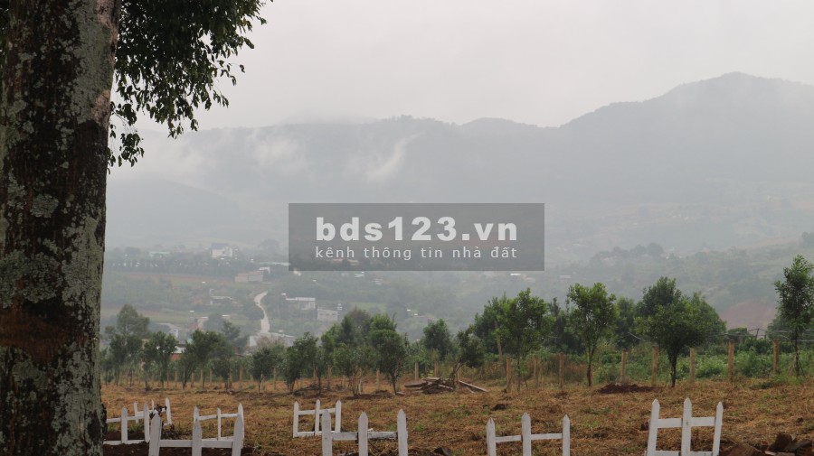 Ra mắt Biệt thự nghỉ dưỡng EDEN HILLS - TP ĐÀ LẠT, SHR. Hotline : 0946 894 828