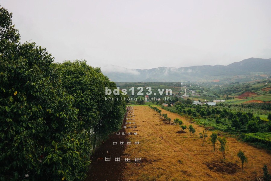 Bán đất nền nhà phố vườn biệt thự vườn, pháp lý chính chủ, minh bạch, đầu tư sinh lời