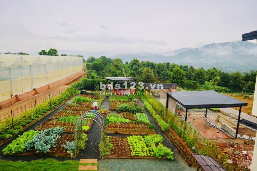 Bán đất nền nhà phố vườn biệt thự vườn, pháp lý chính chủ, minh bạch, đầu tư sinh lời