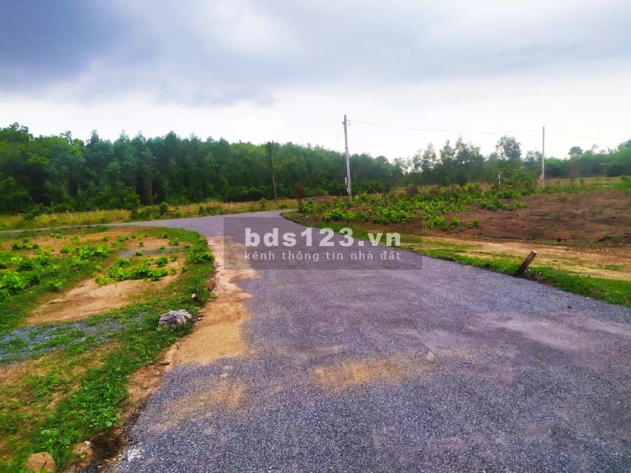 Đất Sào Phước Bình, vị trí đẹp tiềm năng, giá rẻ 1.7 triệu/m2 khả năng thanh khoản cao