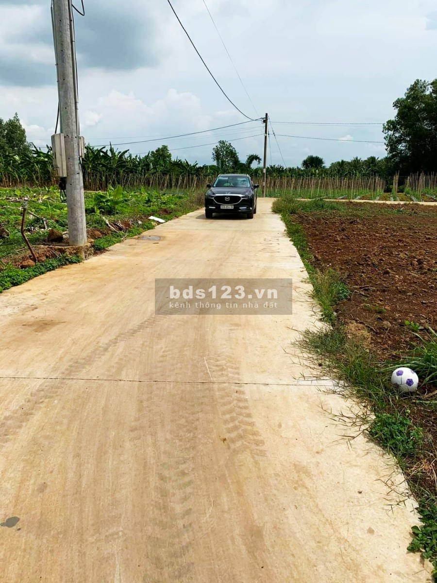 Đất sào Phước Bình Long Thành giá rẻ đẹp 1.5 triệu/m2, vị trí đẹp, pháp lý đầy đủ bàn giao sổ ngay