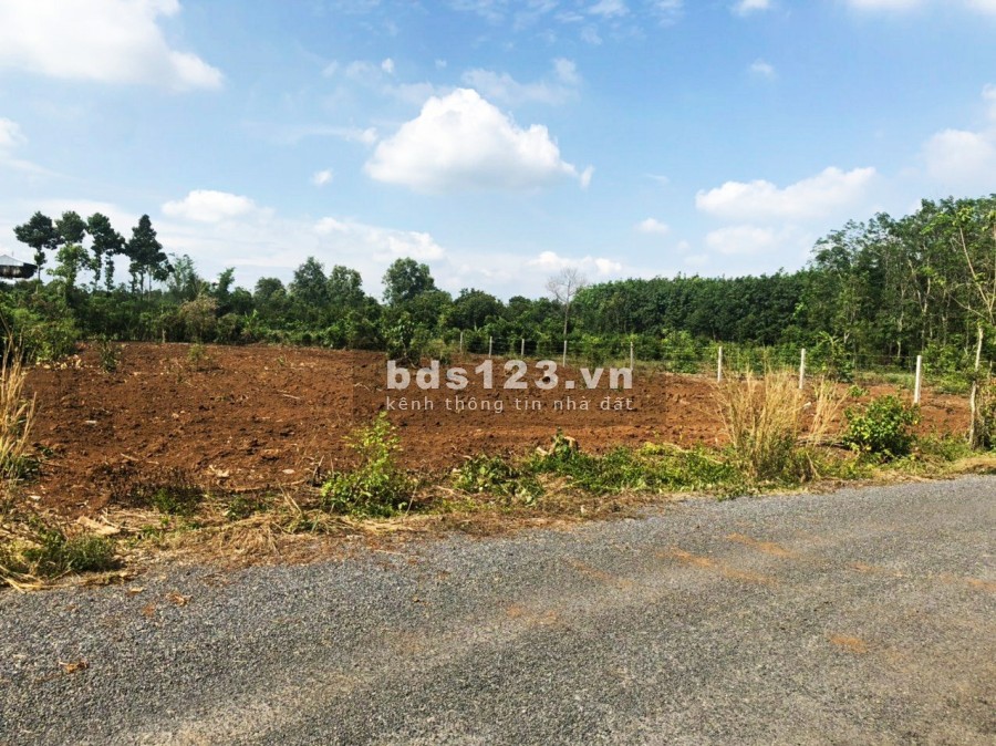 Đất sào Phước Bình Long Thành giá rẻ đẹp 1.5 triệu/m2, vị trí đẹp, pháp lý đầy đủ bàn giao sổ ngay