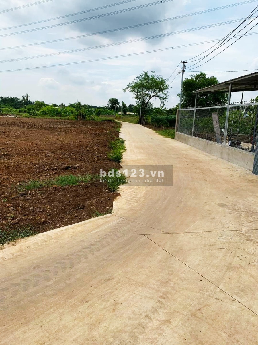 Đất sào Phước Bình Long Thành giá rẻ đẹp 1.5 triệu/m2, vị trí đẹp, pháp lý đầy đủ bàn giao sổ ngay