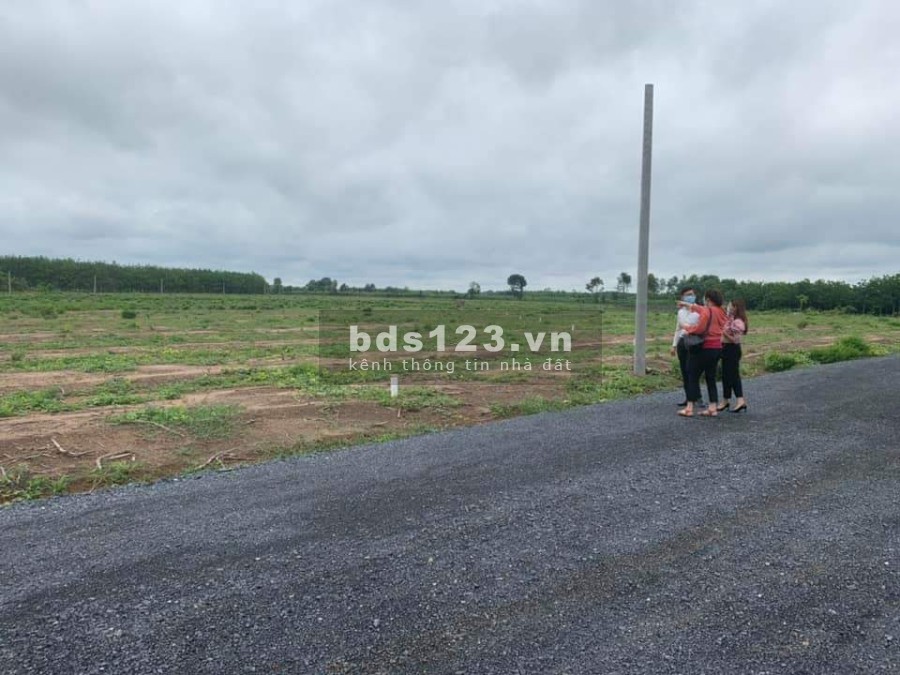 Chính chủ cần bán đất tại Bình Phước vị trí đẹp, đường lớn xe ra vào thoải mái, giá tốt đầu tư