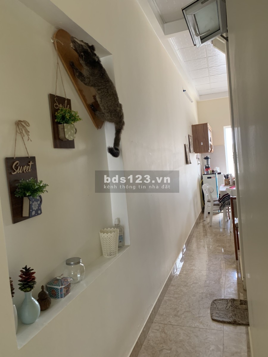 Cần bán nhà 2 mặt tiền ở phường 9 thành phố Đà Lạt giá bán 2.7 tỷ, liên hệ 0398903606