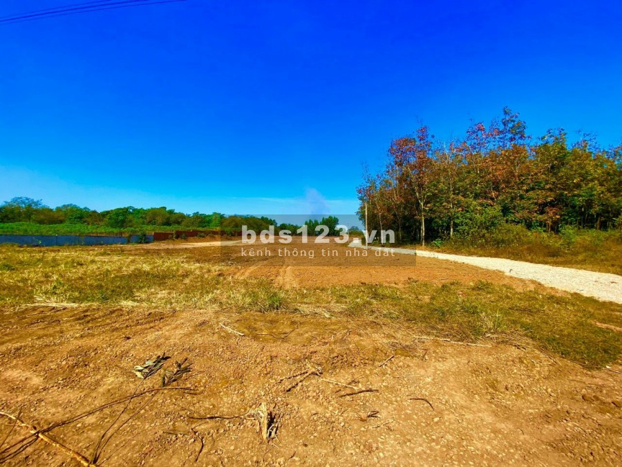 Đất sào Phước Bình Long Thành giá rẻ đẹp 1.5 triệu/m2, vị trí đẹp, pháp lý đầy đủ bàn giao sổ ngay