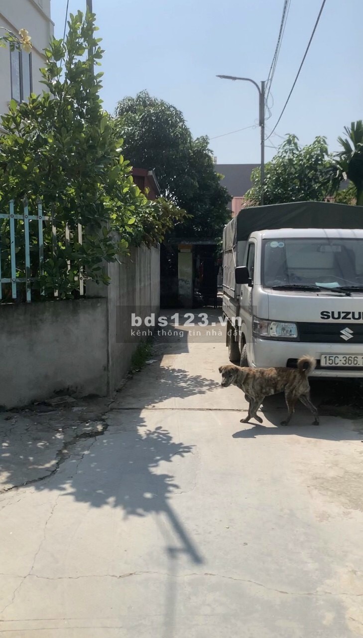 Bán lô đất diện tích 52m2 gần chợ Minh Kha, Đồng Thái, Hải Phòng giá 730 triệu thoả thuận