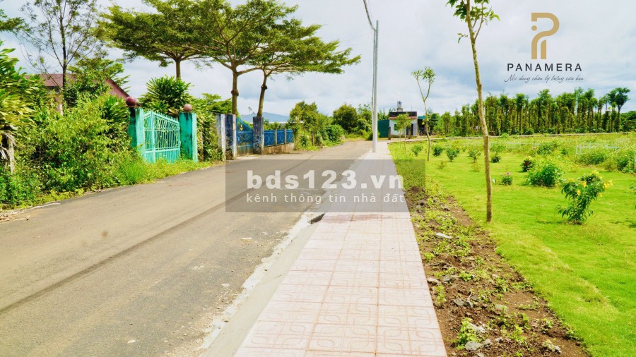 Đất nền Lâm Đồng mặt tiền đường 24m, thanh toán chỉ 239 triệu sở hữu ngay đất nền Lâm Đồng sổ sẵn
