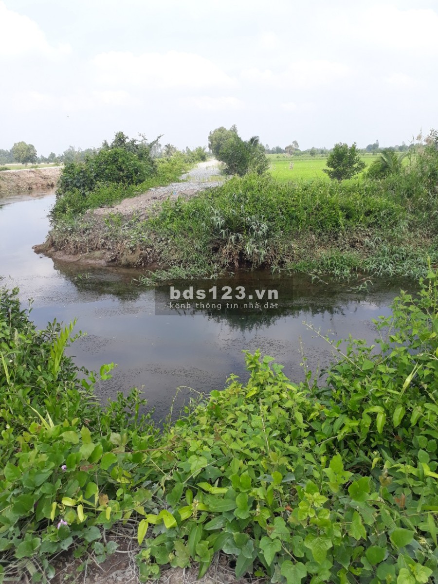Chính chủ cần bán lô đất đẹp diện tích 13.309m2, Thủ Thừa Long An, giá chỉ 690 triệu