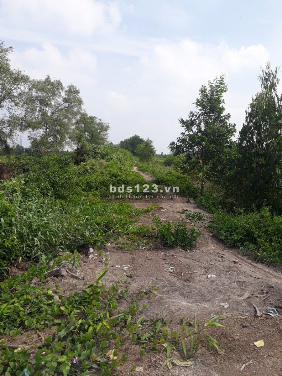 Chính chủ cần bán lô đất đẹp diện tích 13.309m2, Thủ Thừa Long An, giá chỉ 690 triệu