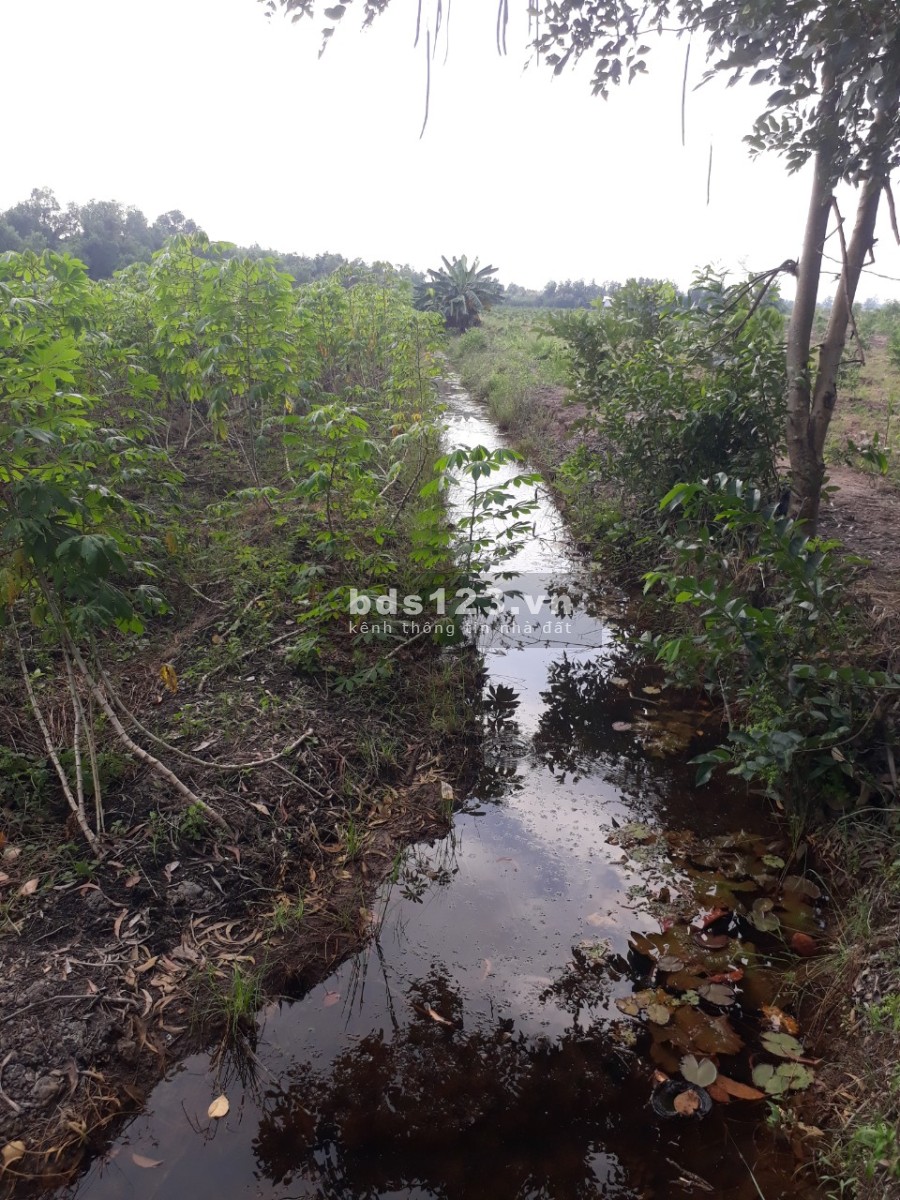 Chính chủ cần bán lô đất đẹp diện tích 13.309m2, Thủ Thừa Long An, giá chỉ 690 triệu