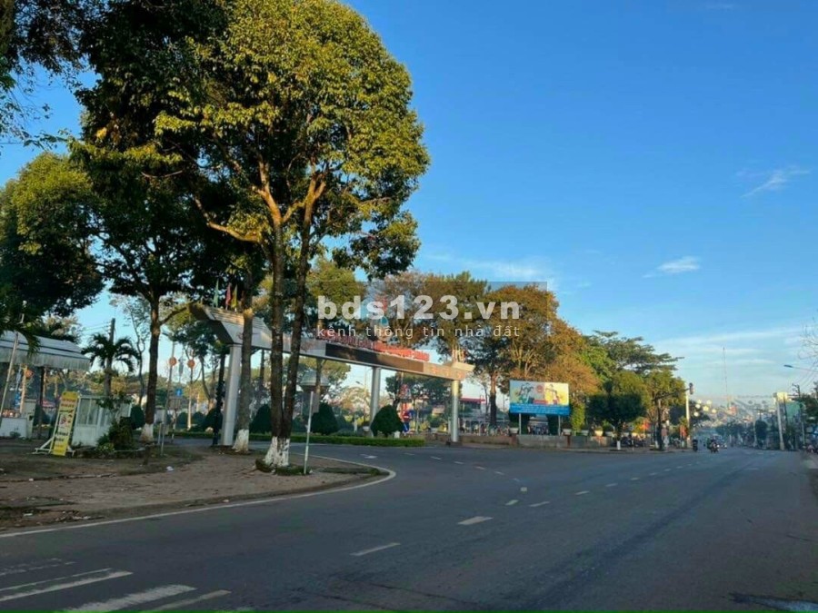 Đất nền Lâm Đồng mặt tiền đường 24m, thanh toán chỉ 239 triệu sở hữu ngay đất nền Lâm Đồng sổ sẵn