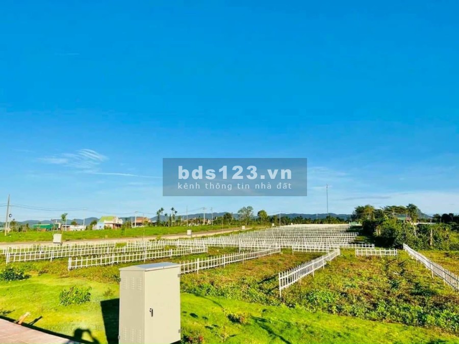 Đất nền Lâm Đồng mặt tiền đường 24m, thanh toán chỉ 239 triệu sở hữu ngay đất nền Lâm Đồng sổ sẵn