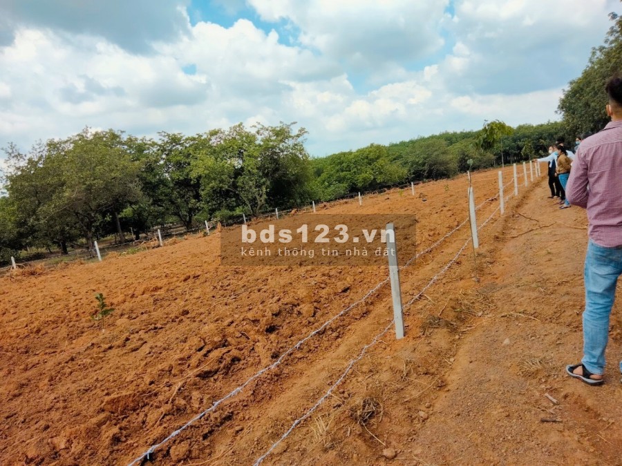 cần bán đất ngay thành phố đồng xoài 1000m2 giá rẻ chỉ 800k/m2 sổ sẵn