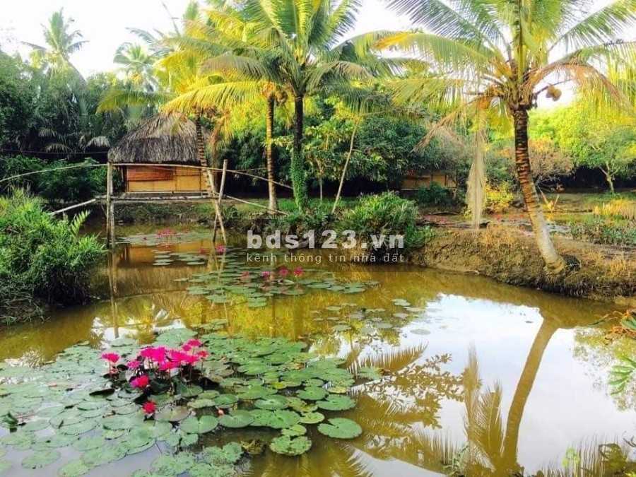 Đất nghĩ dưỡng 200m2, mặt tiên sông Quận 9 đối diện Vinhomes, giá tốt đầu tư sinh lời