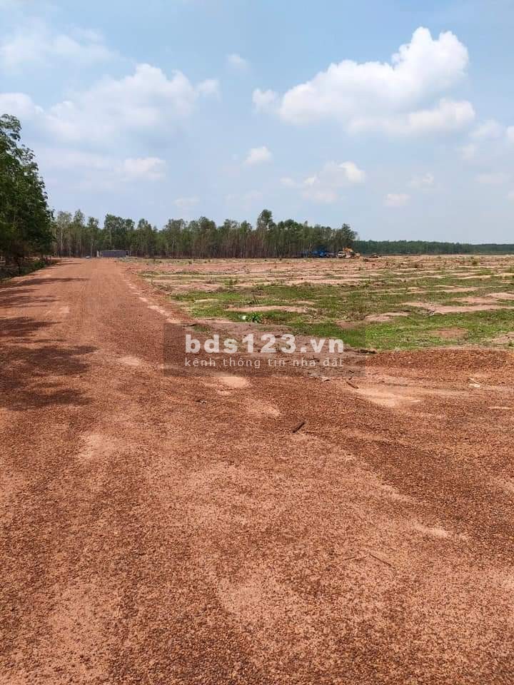 Kẹt tiền cần bán gấp đất Bình Phước, vị trí đẹp - 1000m đã có sổ