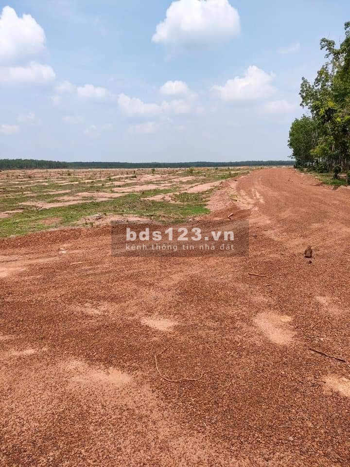 Kẹt tiền cần bán gấp đất Bình Phước, vị trí đẹp - 1000m đã có sổ