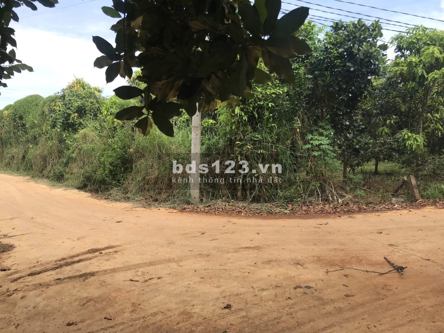 Bán 1000m2 đất 2 mặt tiền,ngang 60m sổ riêng đường ô tô