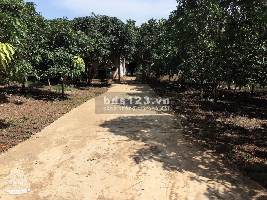 Bán 1000m2 đất 2 mặt tiền,ngang 60m sổ riêng đường ô tô
