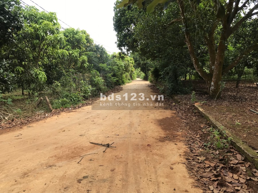 Bán 1000m2 đất 2 mặt tiền,ngang 60m sổ riêng đường ô tô
