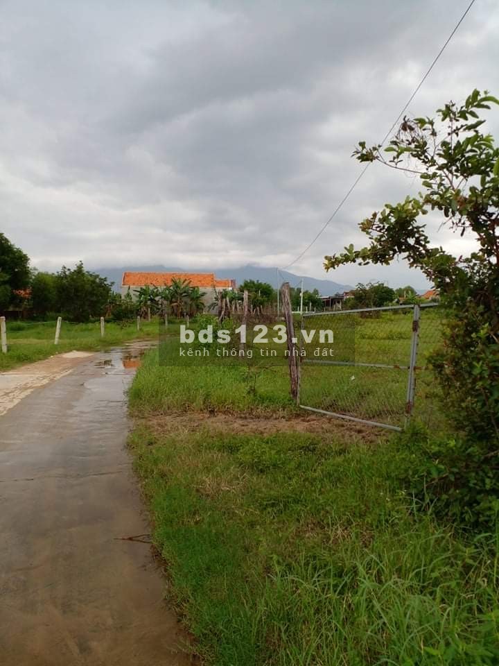 Cần bán đất thổ cư đất trồng cây lâu năm liên hệ 0354004900, pháp lý chính chủ bàn giao ngay