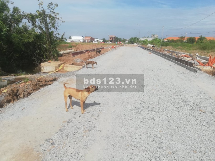Cuối năm chủ đầu tư cần bán nhanh lô đất mặt tiền đường + view sông