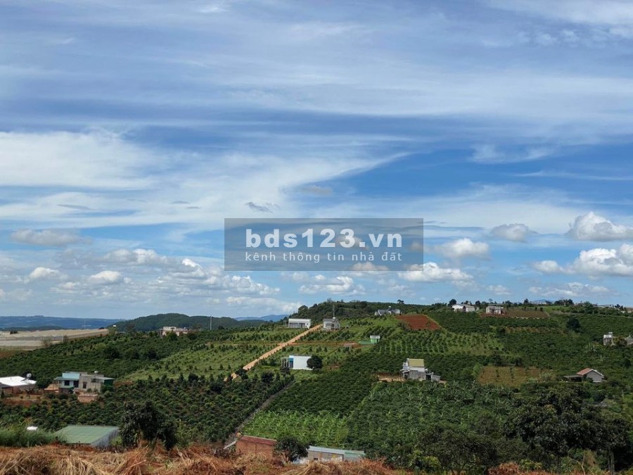 đất ven tp đà lạt giá sốc mùa dịch, sổ hồng riêng 100m thổ cư view đẹp nghỉ dưỡng