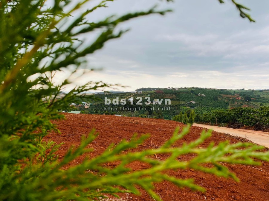 đất ven tp đà lạt giá sốc mùa dịch, sổ hồng riêng 100m thổ cư view đẹp nghỉ dưỡng