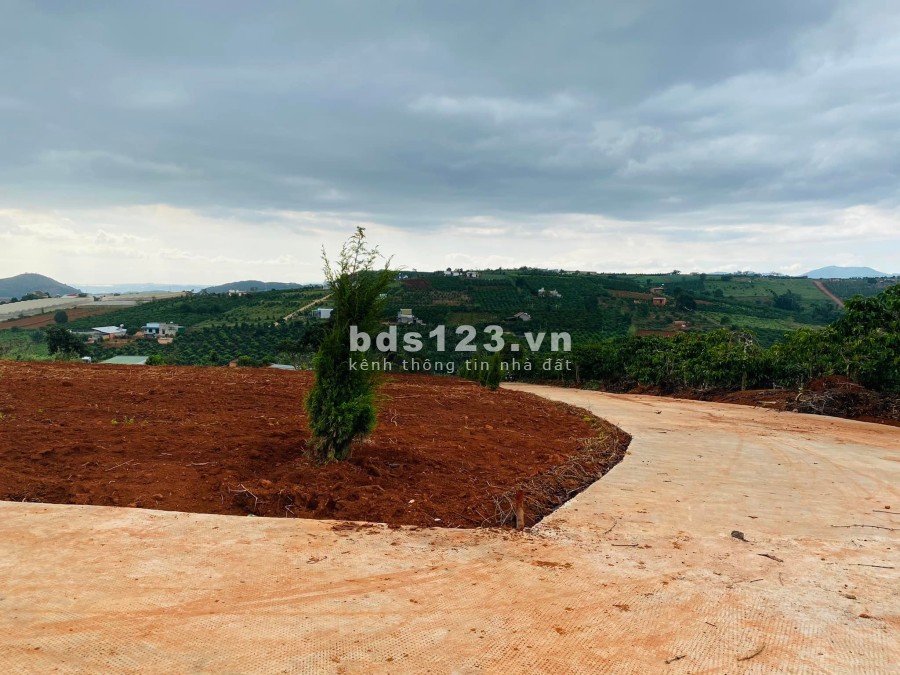 đất ven tp đà lạt giá sốc mùa dịch, sổ hồng riêng 100m thổ cư view đẹp nghỉ dưỡng