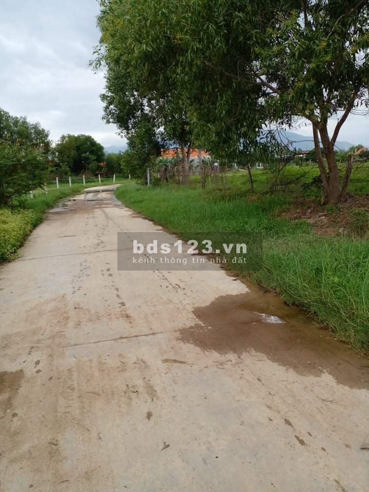 Cần bán đất thổ cư đất trồng cây lâu năm liên hệ 0354004900, pháp lý chính chủ bàn giao ngay